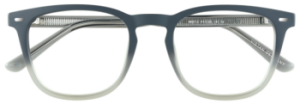 VISTAN 6607