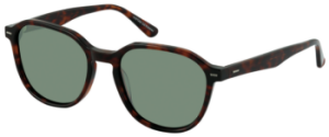 VISTAN 979