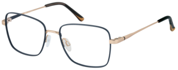 CINQUE 11188-2