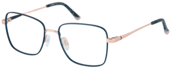 CINQUE 11188-3