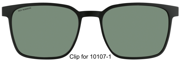 Roy Robson 10107-101