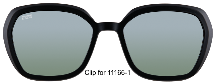 CINQUE 11166-101