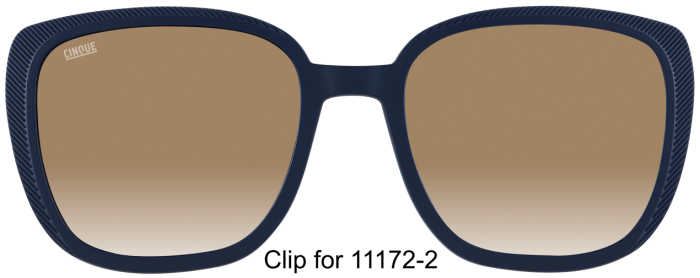 CINQUE 11172-102