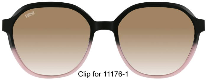 CINQUE 11176-101