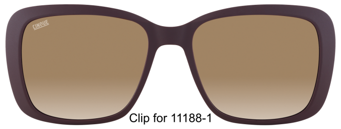 CINQUE 11188-101