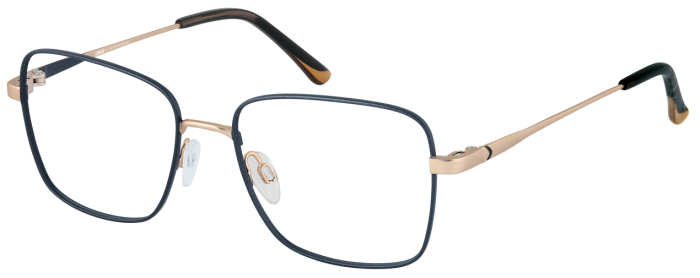 CINQUE 11188-2