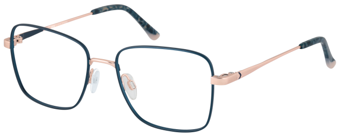 CINQUE 11188-3