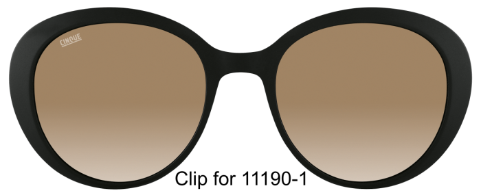 CINQUE 11190-101