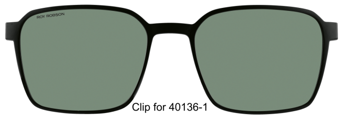 Roy Robson 40136-101