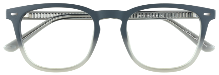 VISTAN 6607