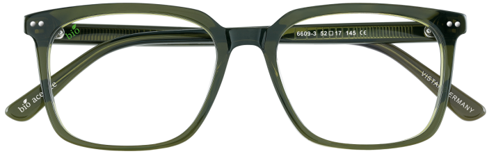 VISTAN 6609